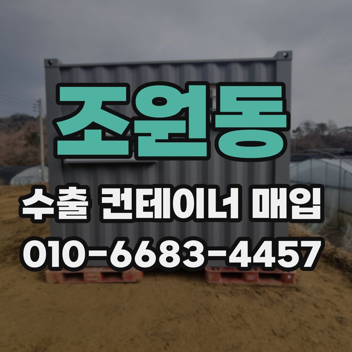 조원동 수출 컨테이너 매입