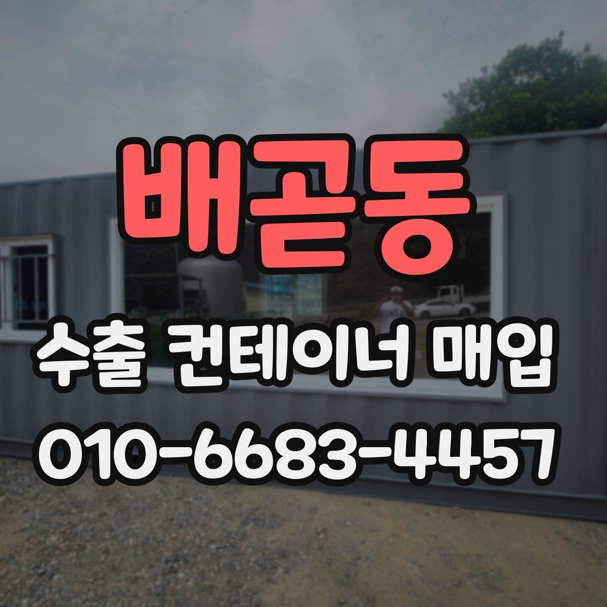 배곧동 수출 컨테이너 매입 전 비교해야 할 조건