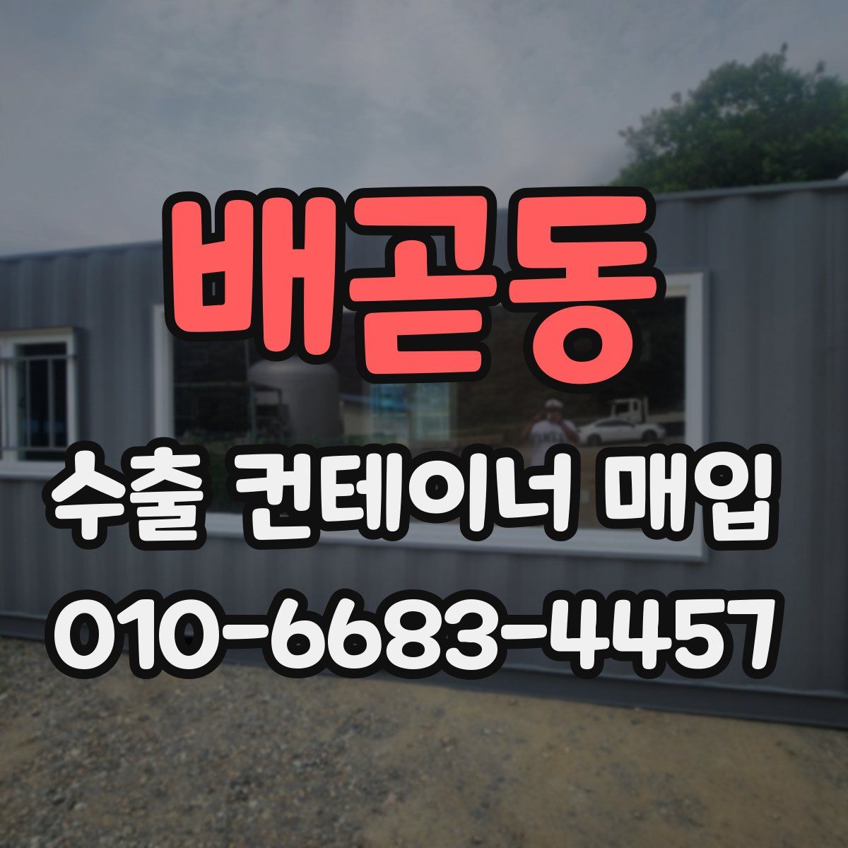 배곧동 수출 컨테이너 매입
