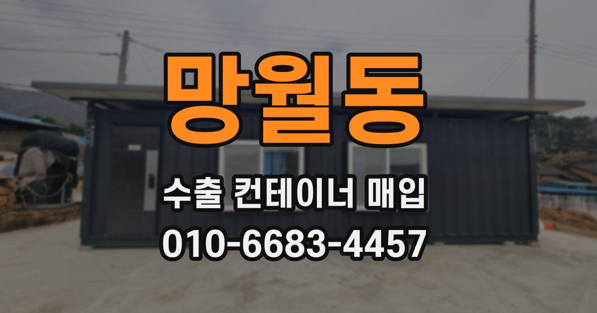 망월동 수출 컨테이너 매입