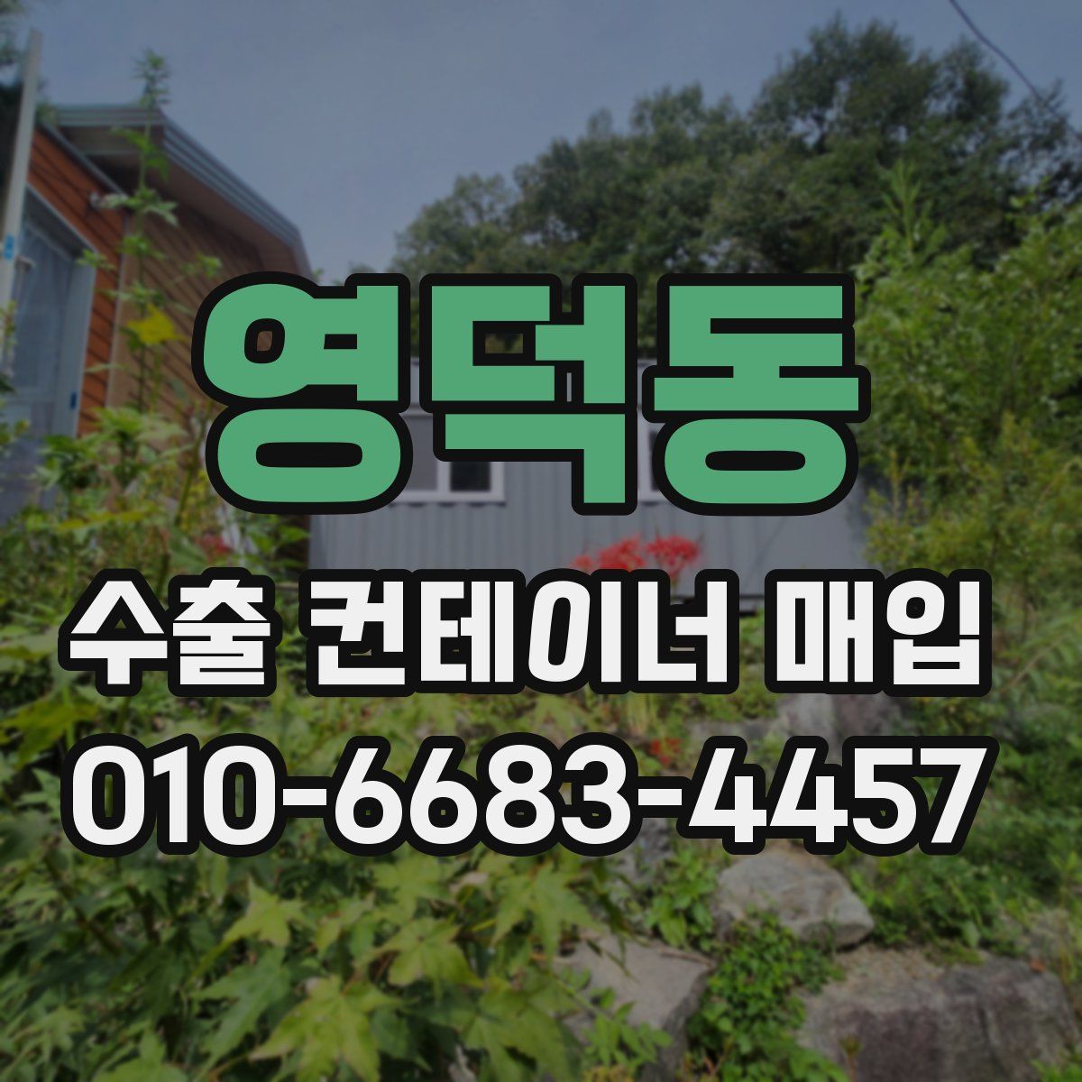영덕동 수출 컨테이너 매입