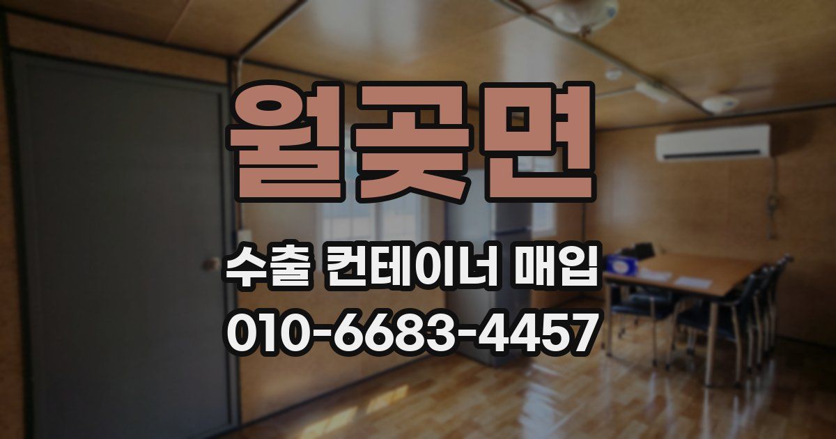 월곶면 수출 컨테이너 매입