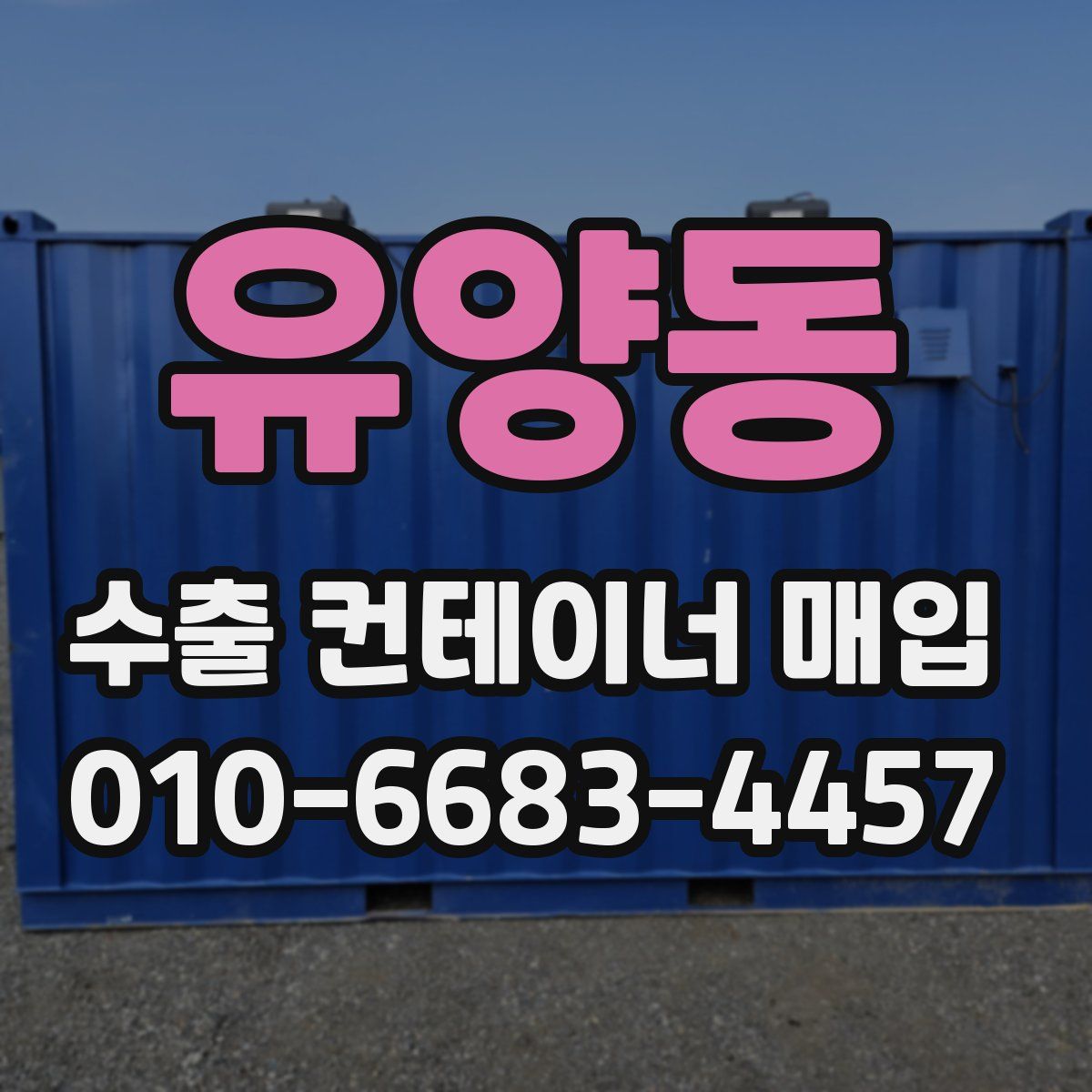 유양동 수출 컨테이너 매입