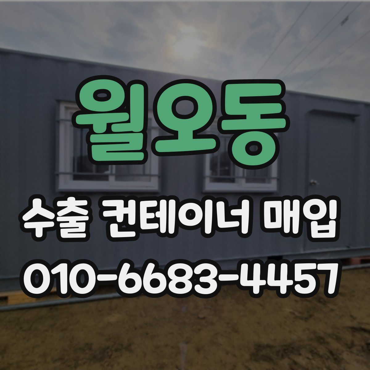 월오동 수출 컨테이너 매입
