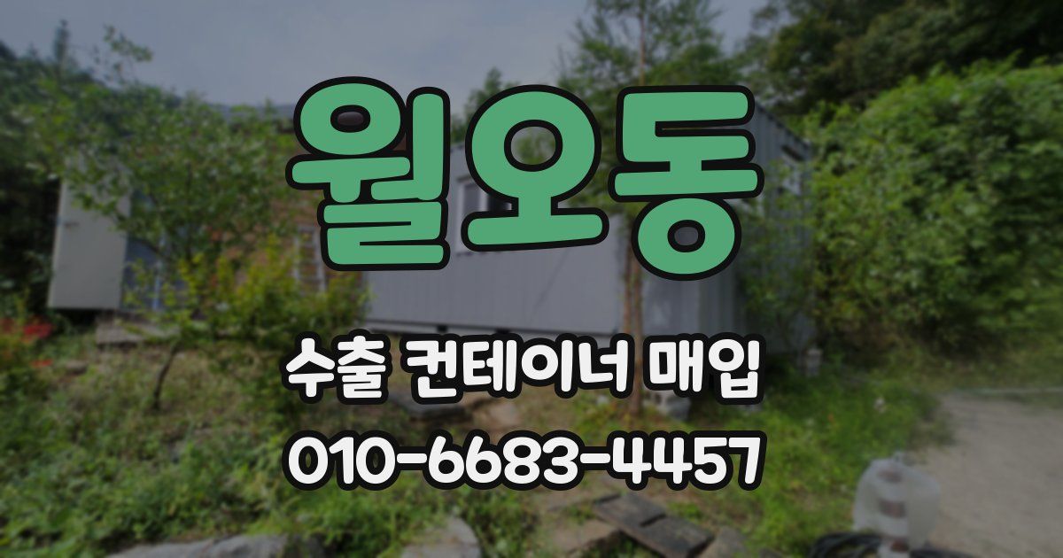 월오동 수출 컨테이너 매입