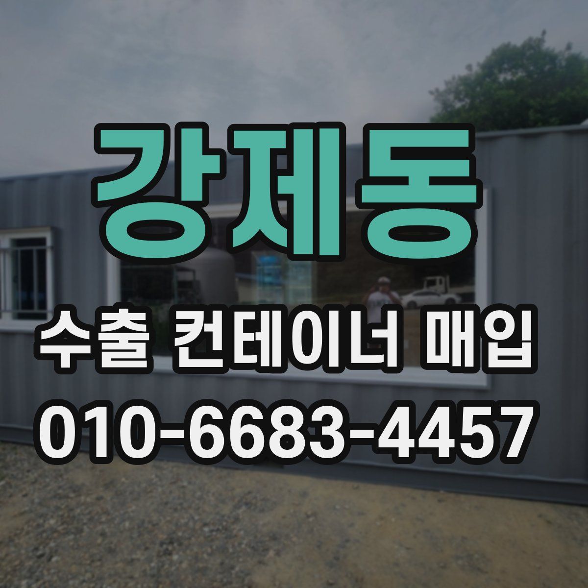 강제동 수출 컨테이너 매입