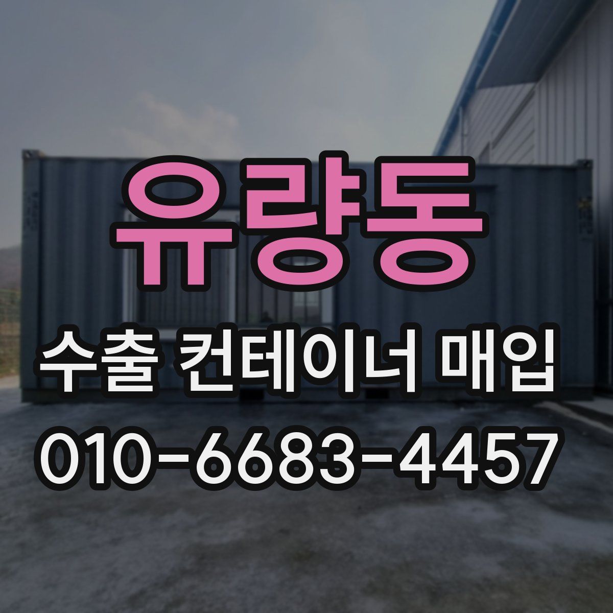 유량동 수출 컨테이너 매입