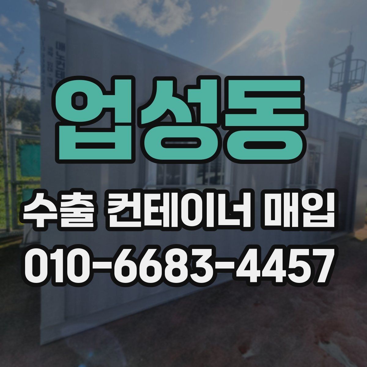 업성동 수출 컨테이너 매입 전 사진과 실물 차이 확인