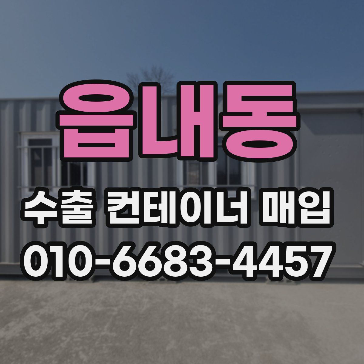 읍내동 수출 컨테이너 매입