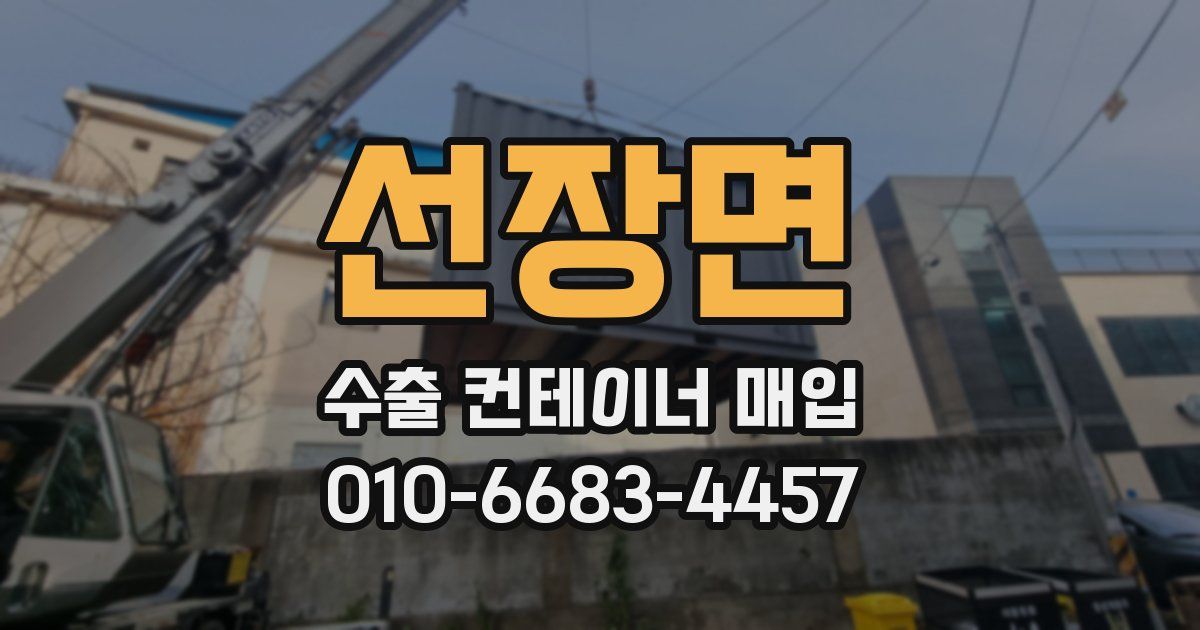 선장면 수출 컨테이너 매입