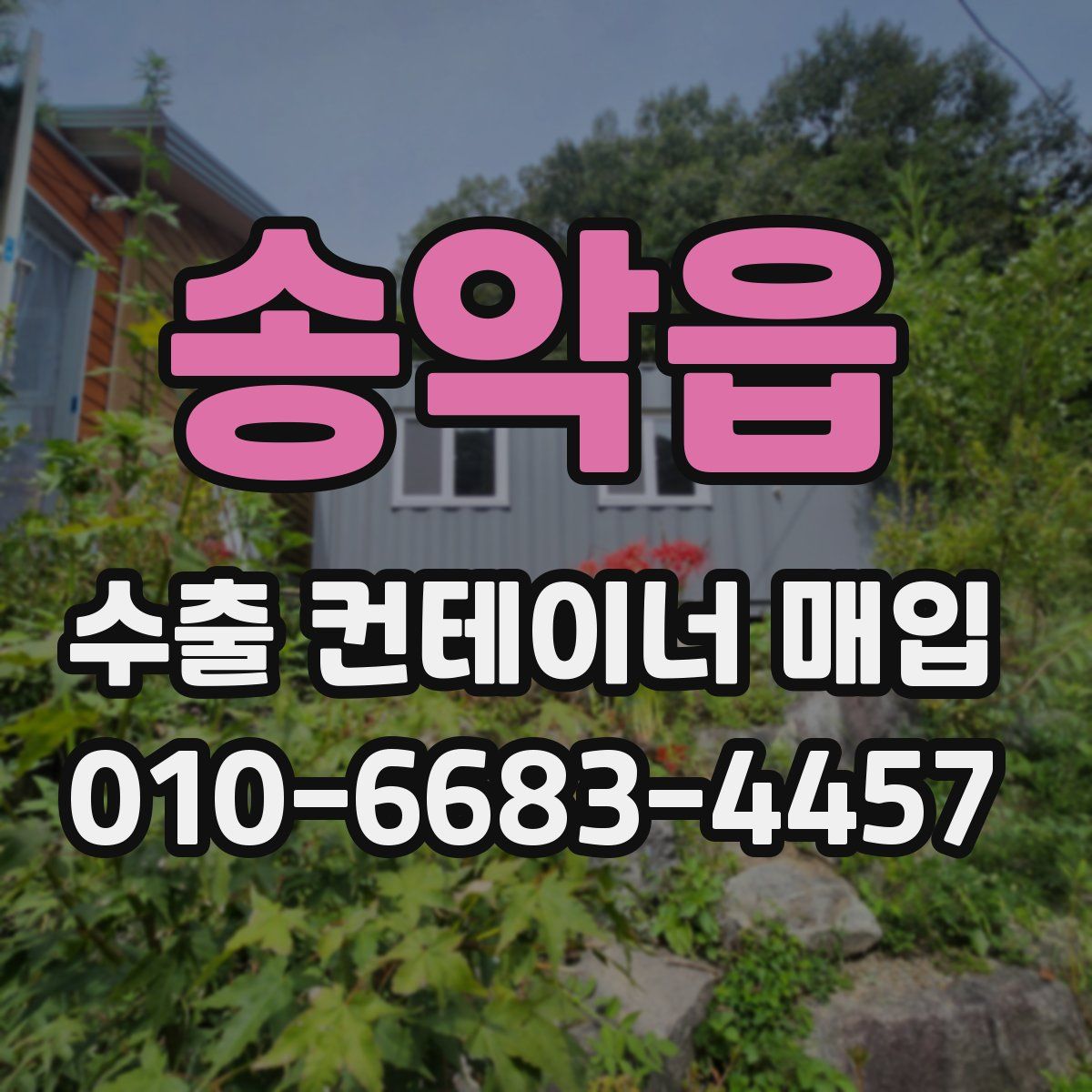 송악읍 수출 컨테이너 매입