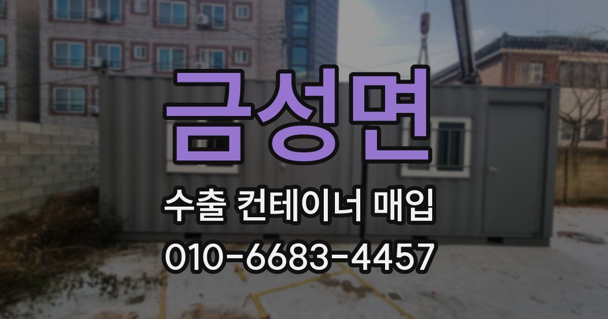 금성면 수출 컨테이너 매입