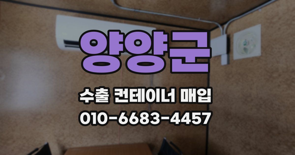 양양군 수출 컨테이너 매입
