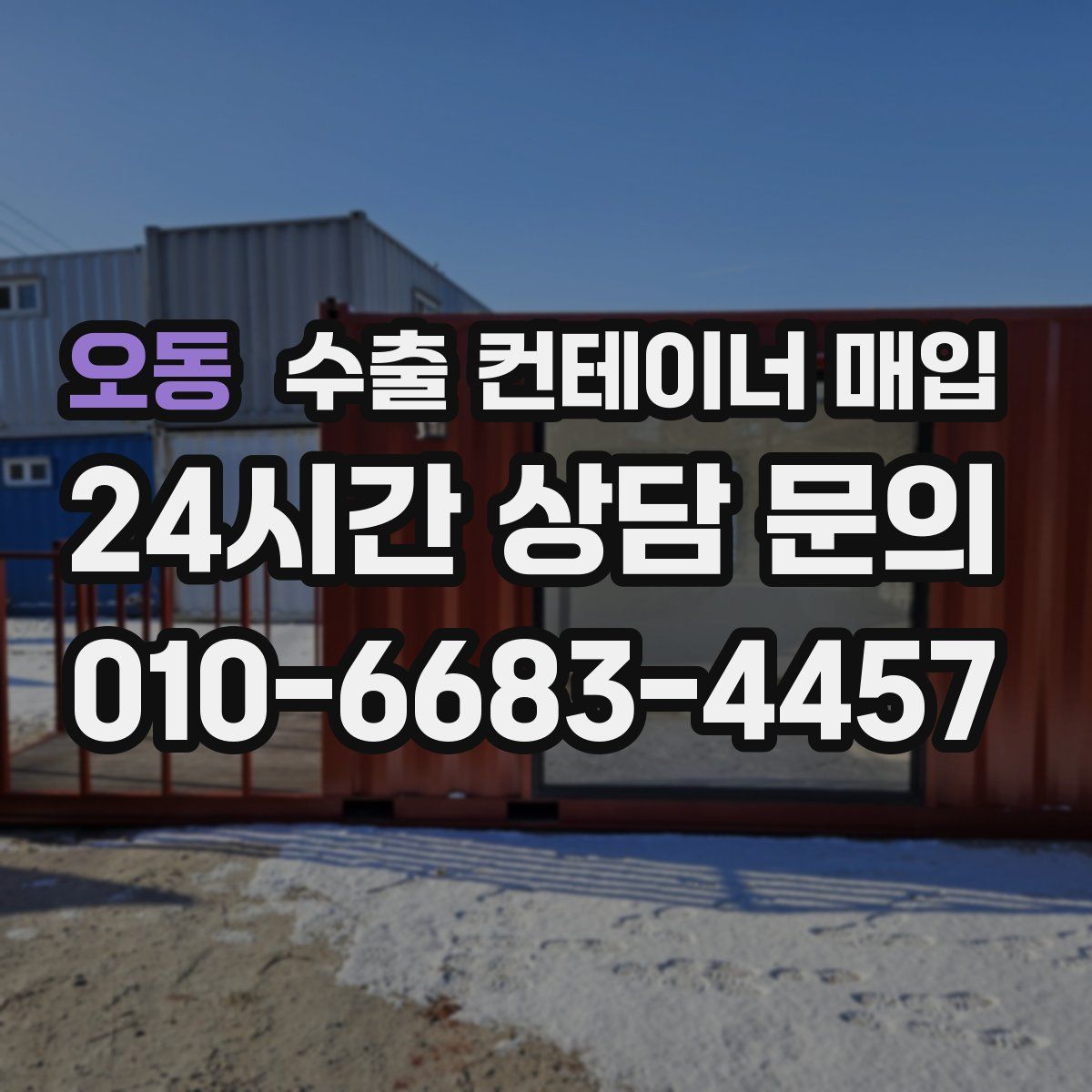 오동 수출 컨테이너 매입