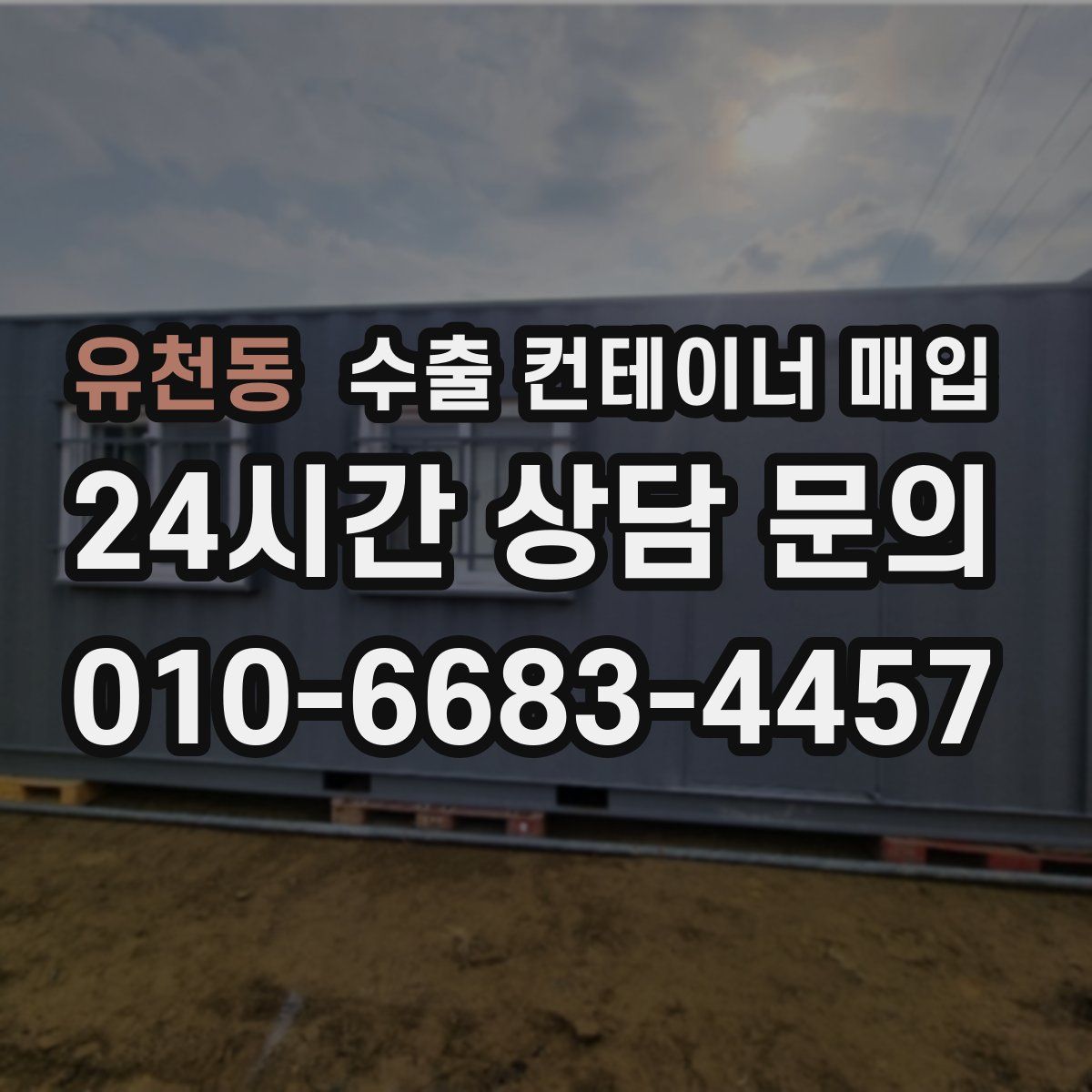 유천동 수출 컨테이너 매입