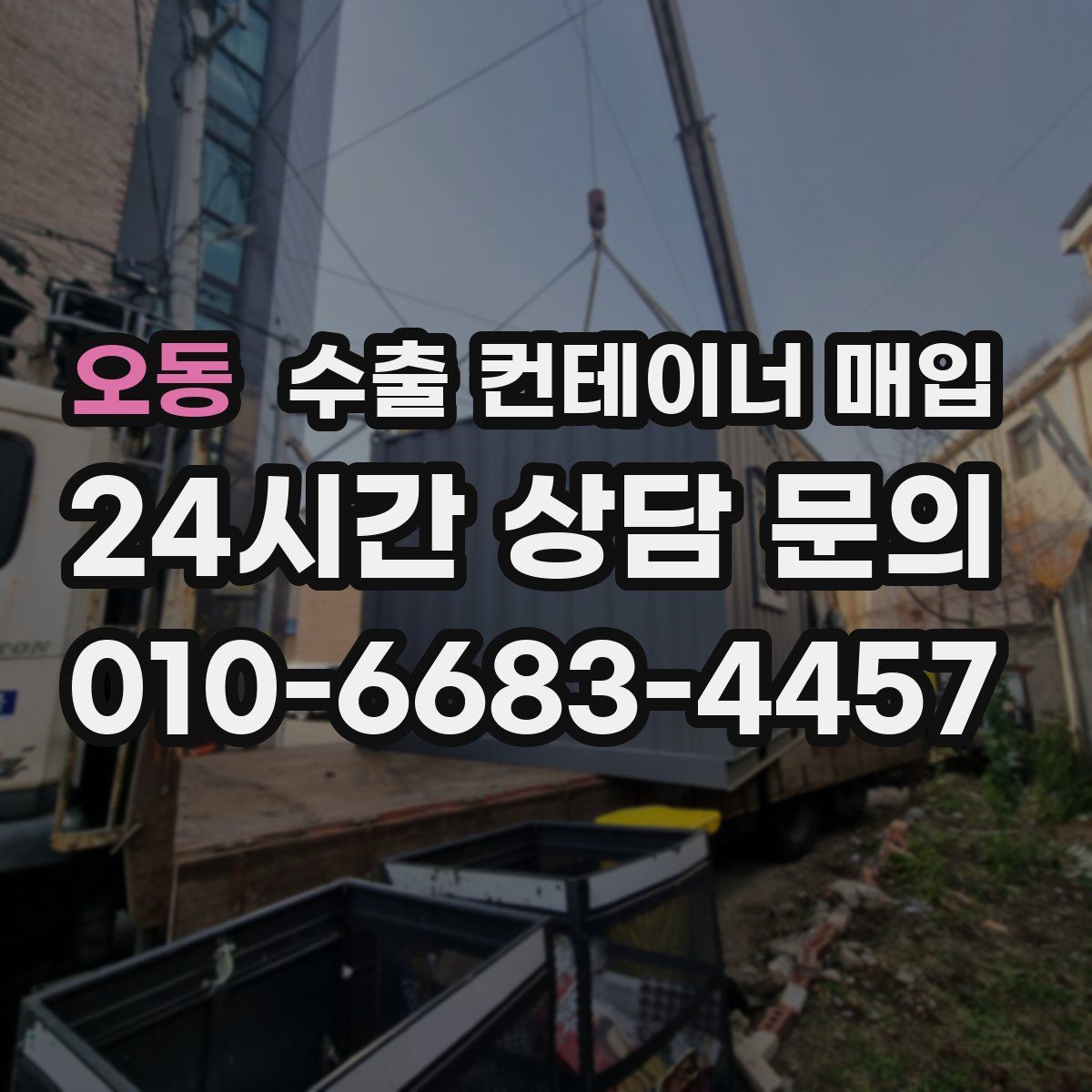 오동 수출 컨테이너 매입