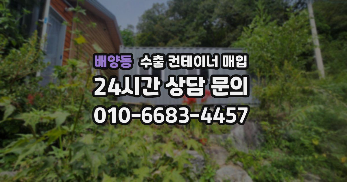 배양동 수출 컨테이너 매입