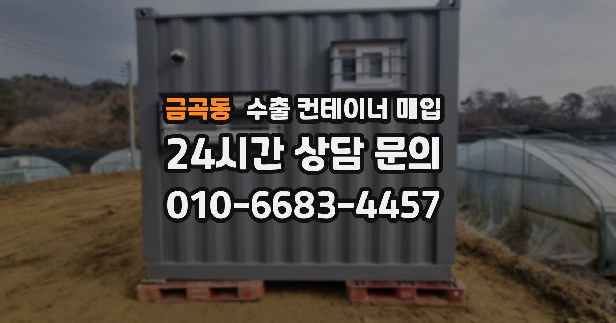 금곡동 수출 컨테이너 매입
