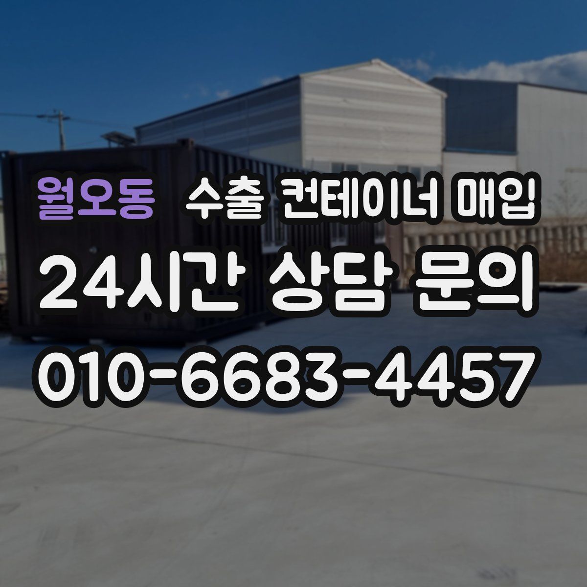 월오동 수출 컨테이너 매입