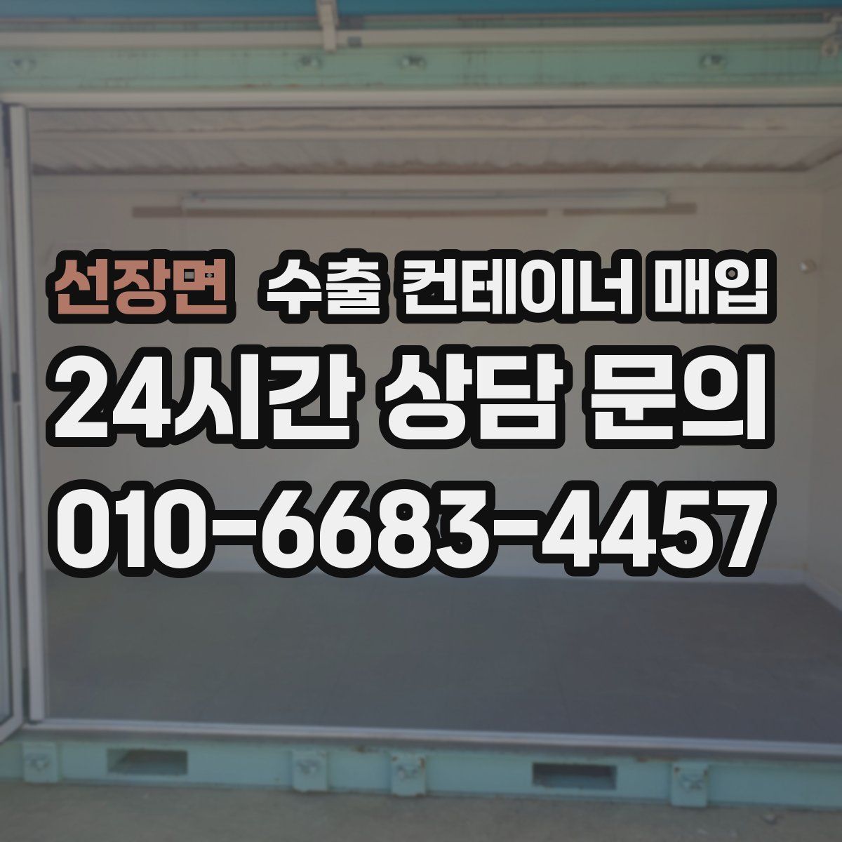 선장면 수출 컨테이너 매입