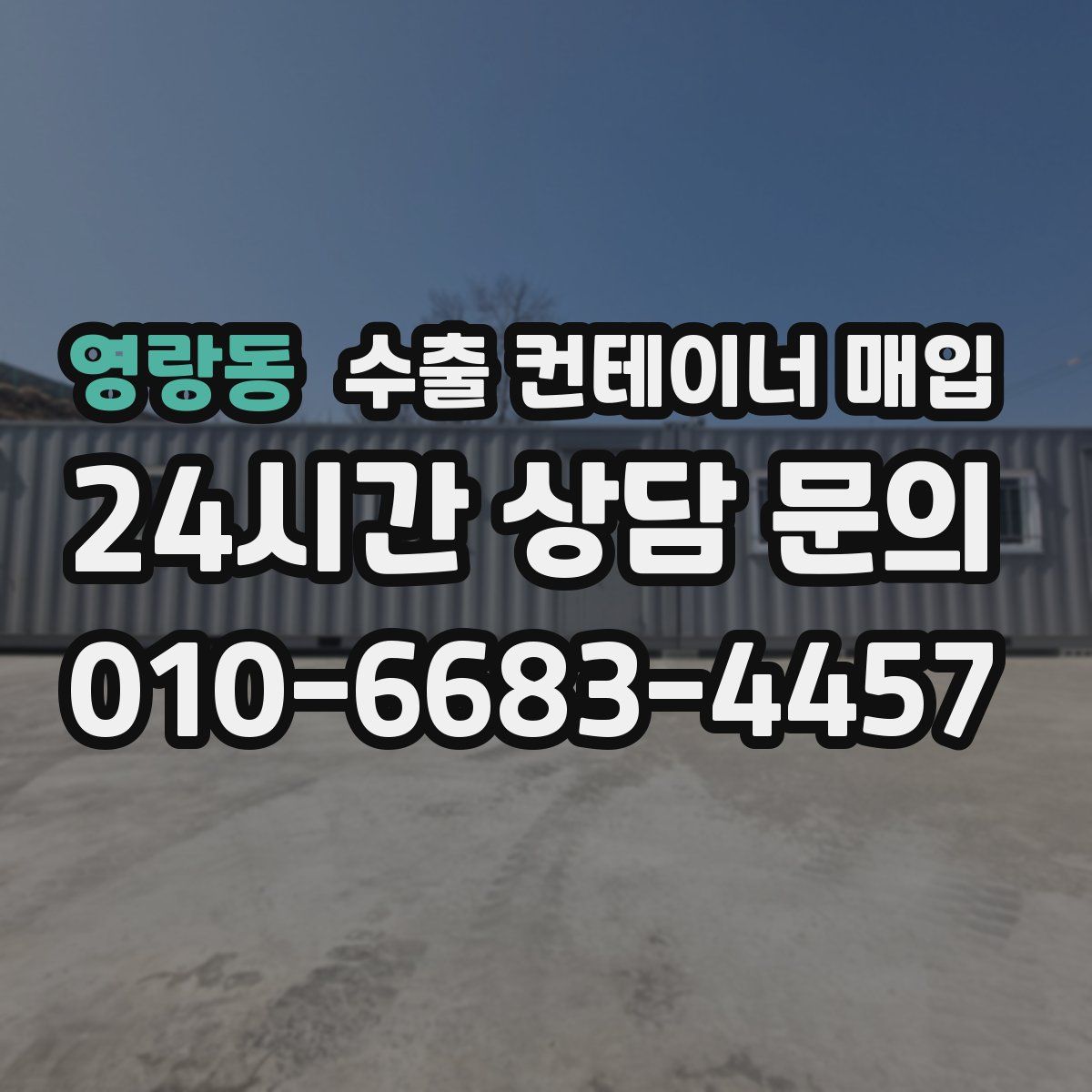 영랑동 수출 컨테이너 매입