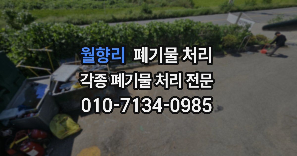 월향리 폐기물 수거