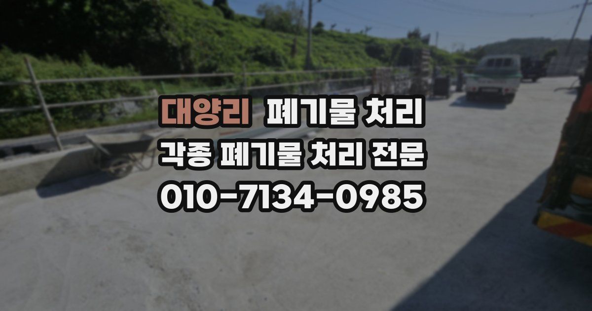 대양리 폐기물 수거