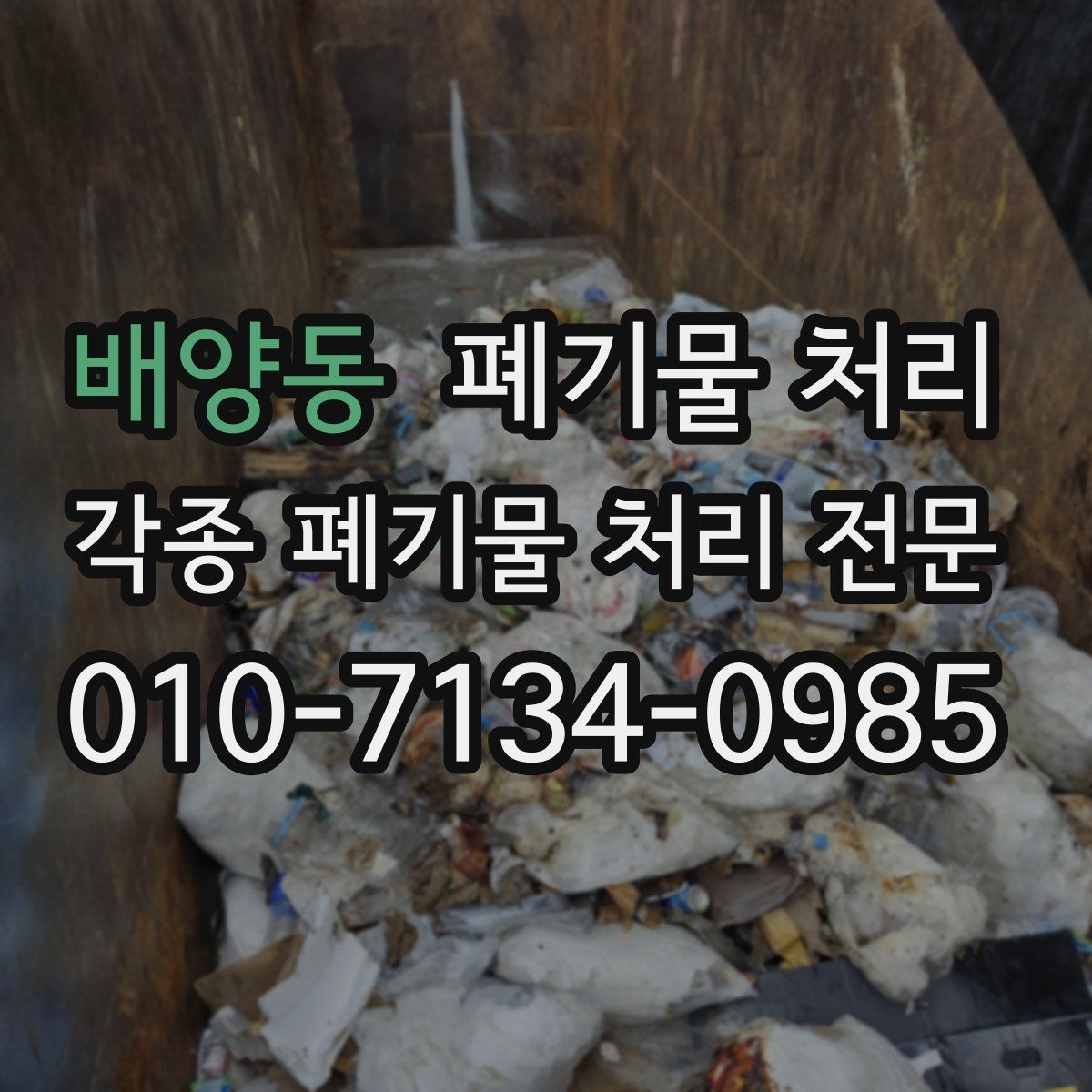 배양동 폐기물 처리 골목 현장에서도 반출이 가능한가요