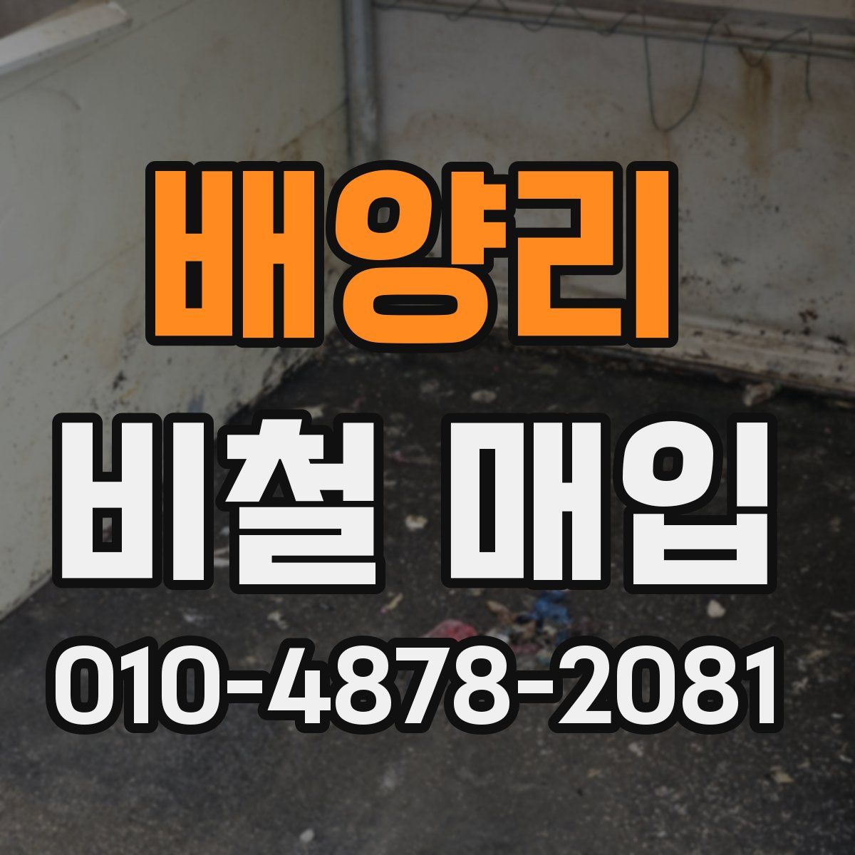 배양리 비철 매입