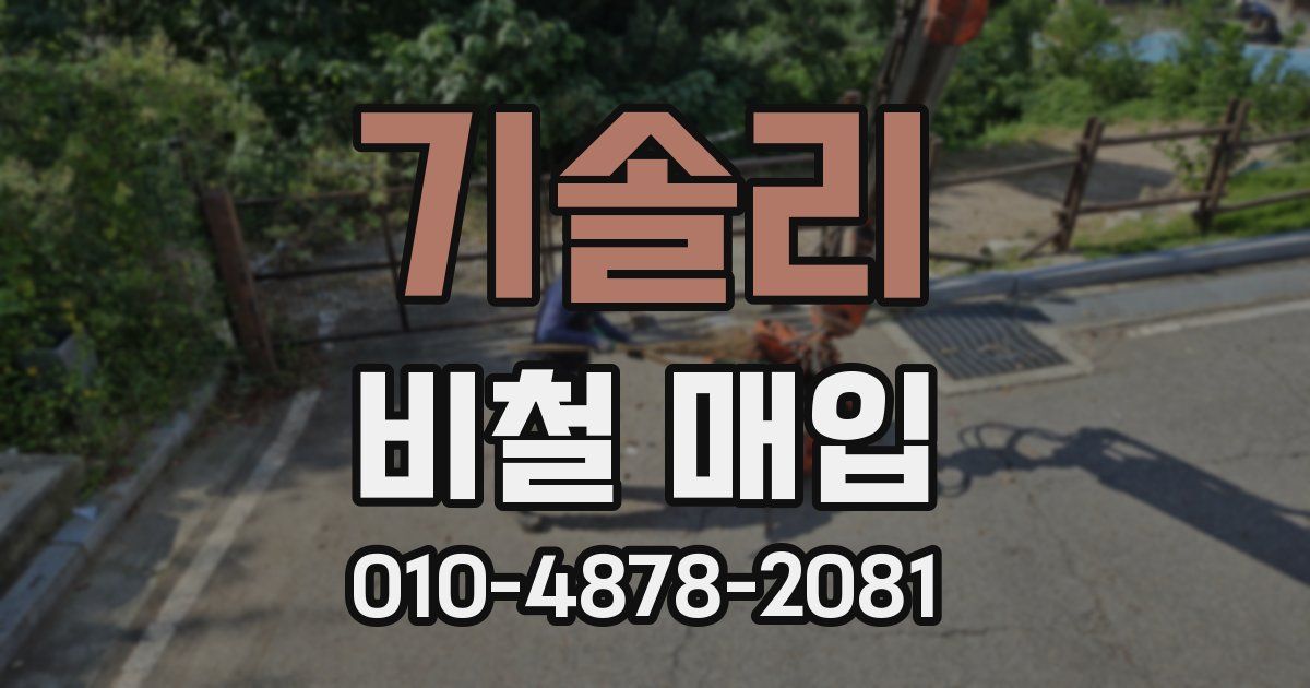 기솔리 비철 매입
