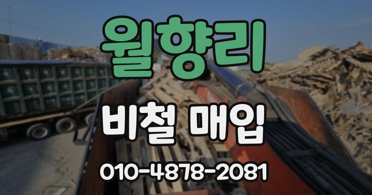 월향리 비철 매입