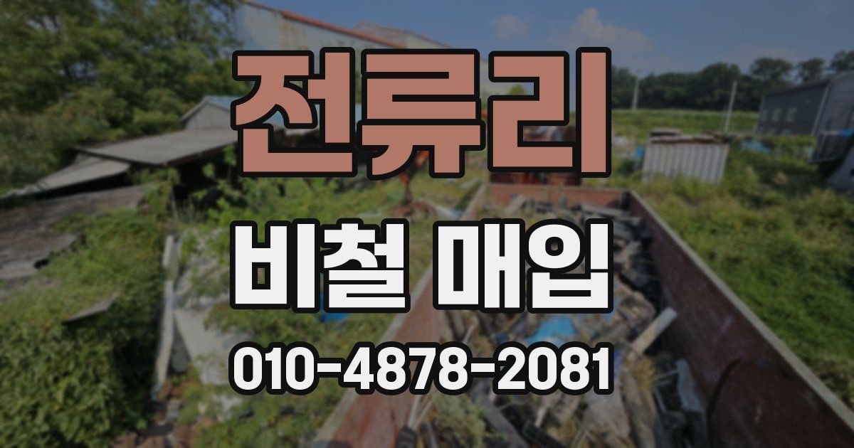 전류리 비철 매입