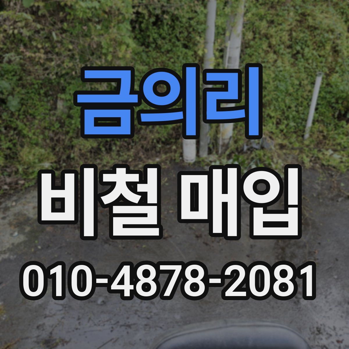 금의리 비철 매입