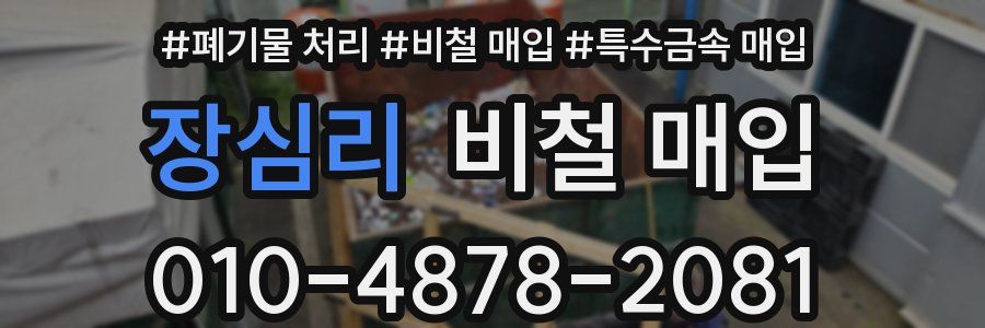 장심리 비철 매입
