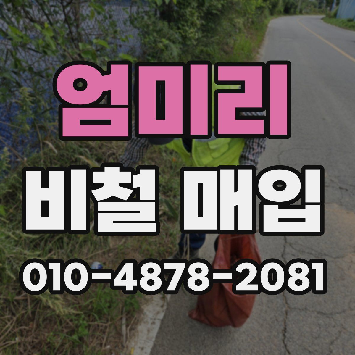 엄미리 비철 매입