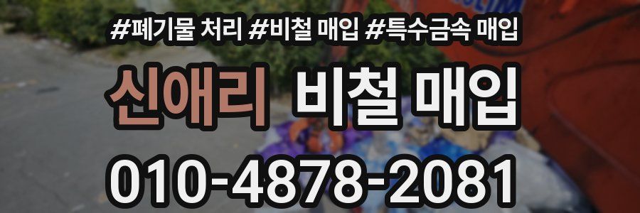 신애리 비철 매입