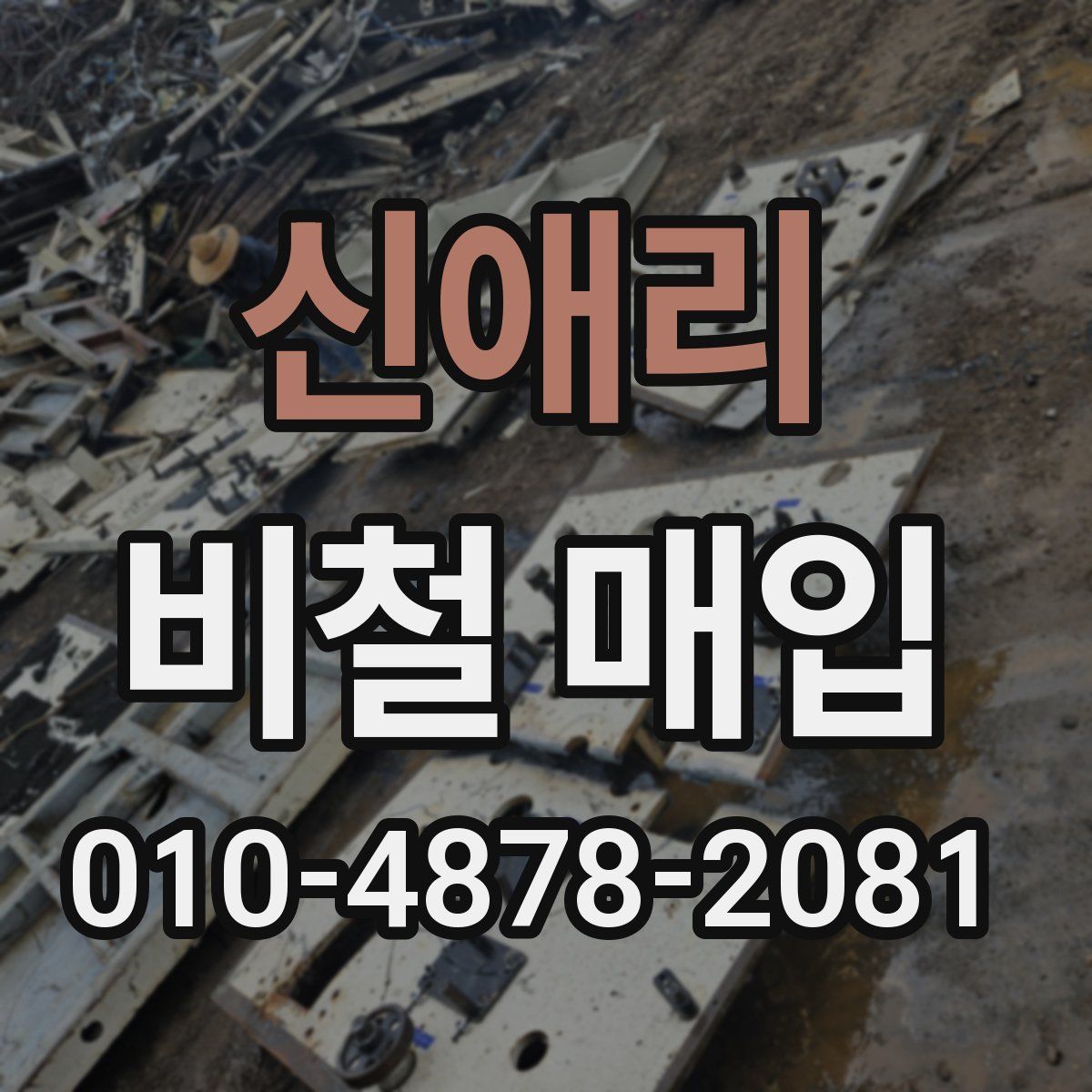 신애리 비철 매입