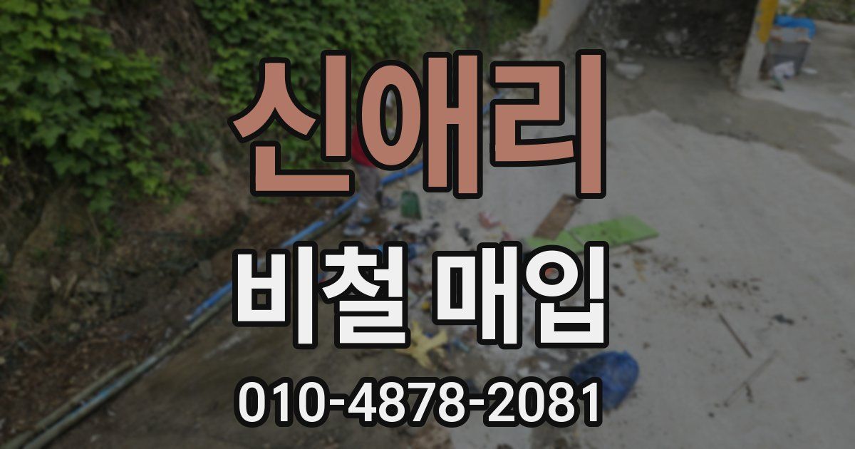 신애리 비철 매입