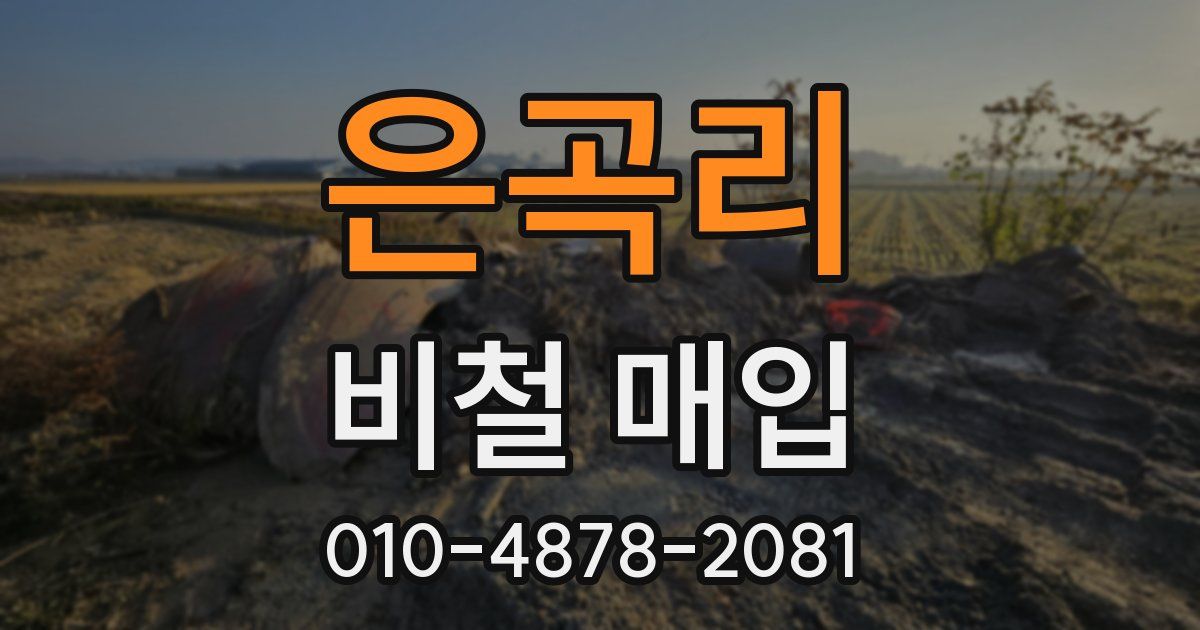 은곡리 비철 매입