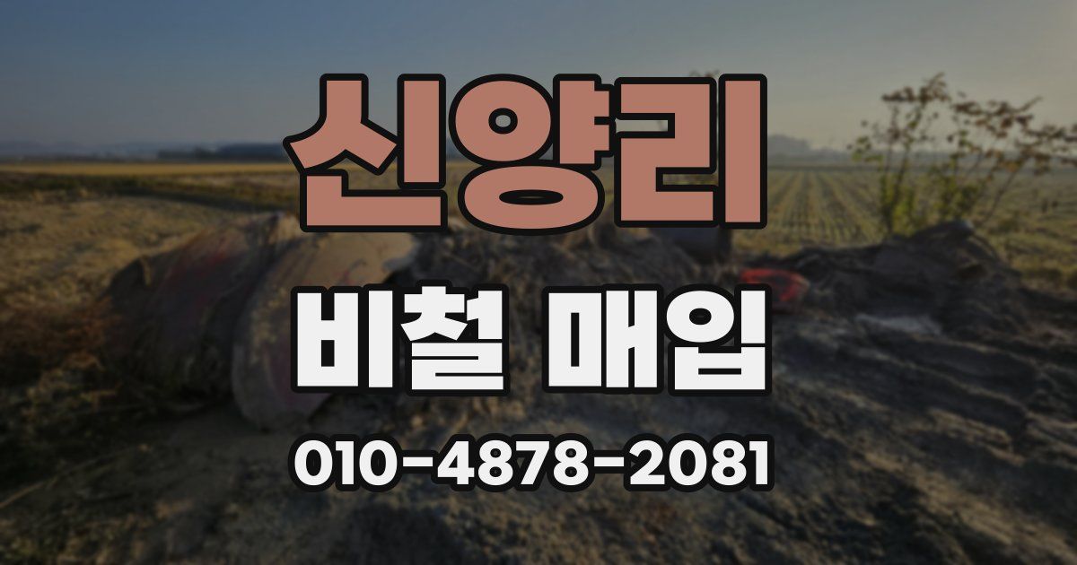 신양리 비철 매입