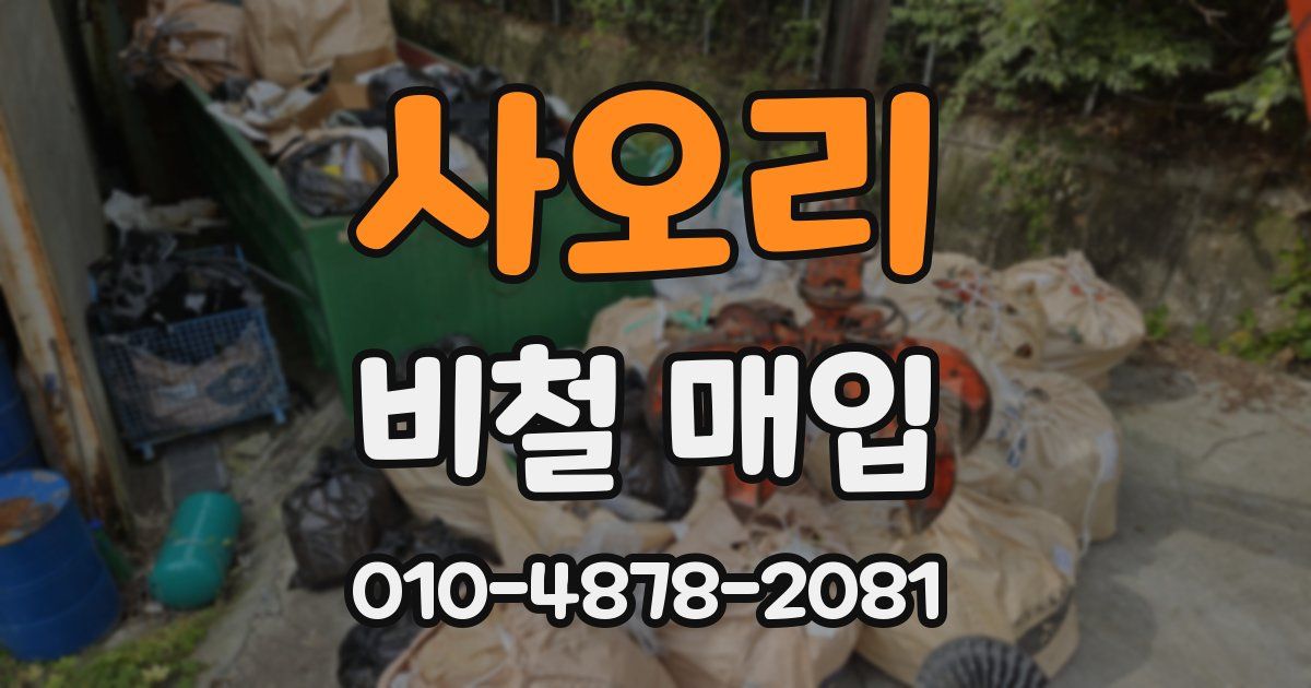 사오리 비철 매입