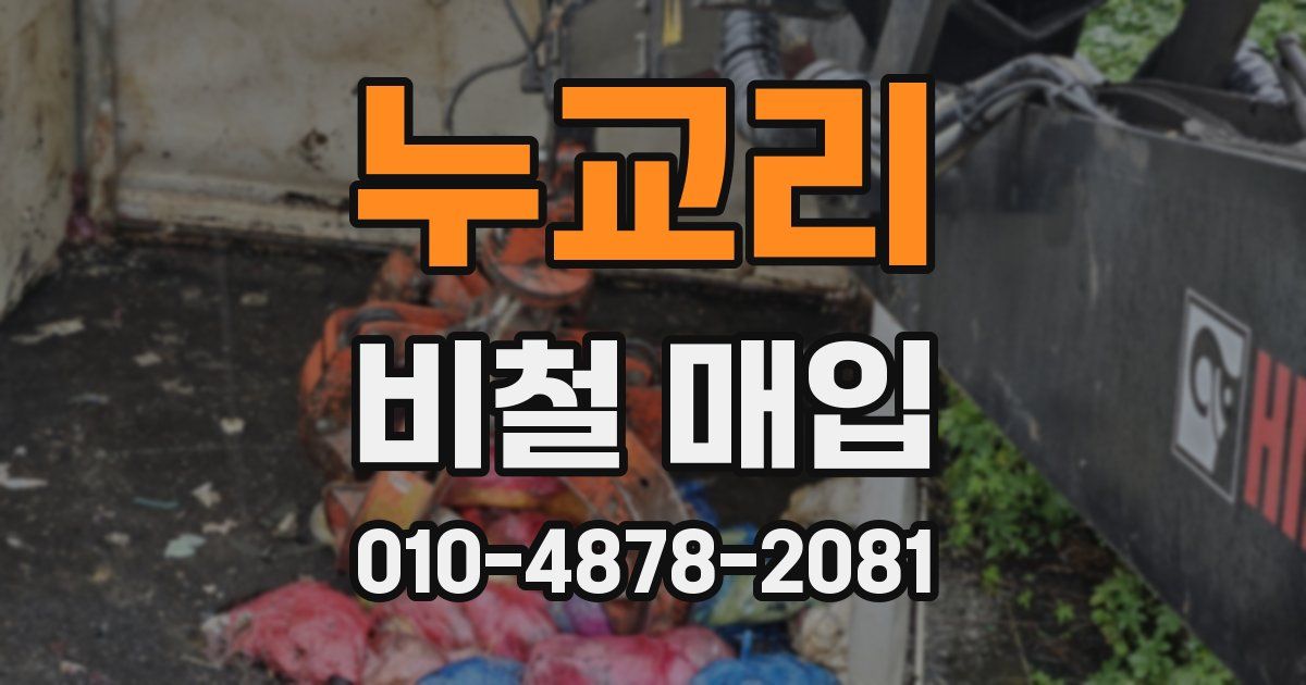 누교리 비철 매입