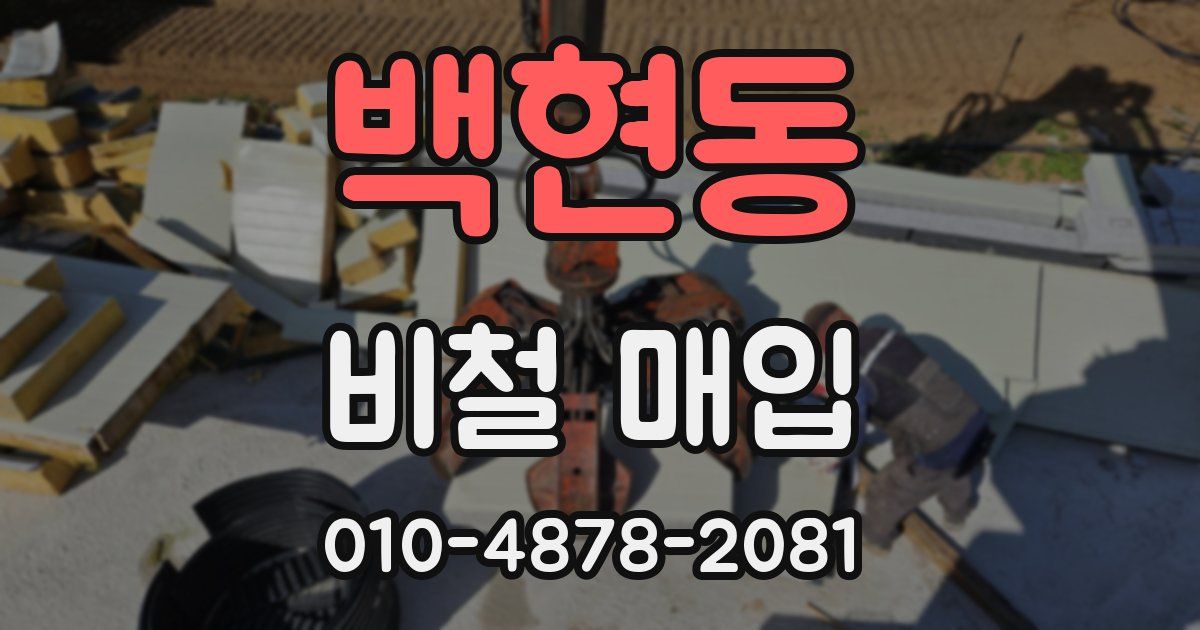 백현동 비철 매입