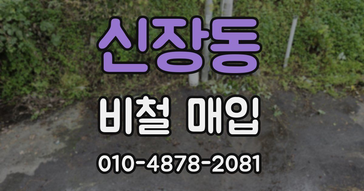 신장동 비철 매입