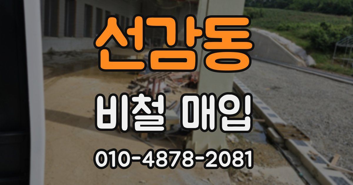 선감동 비철 매입