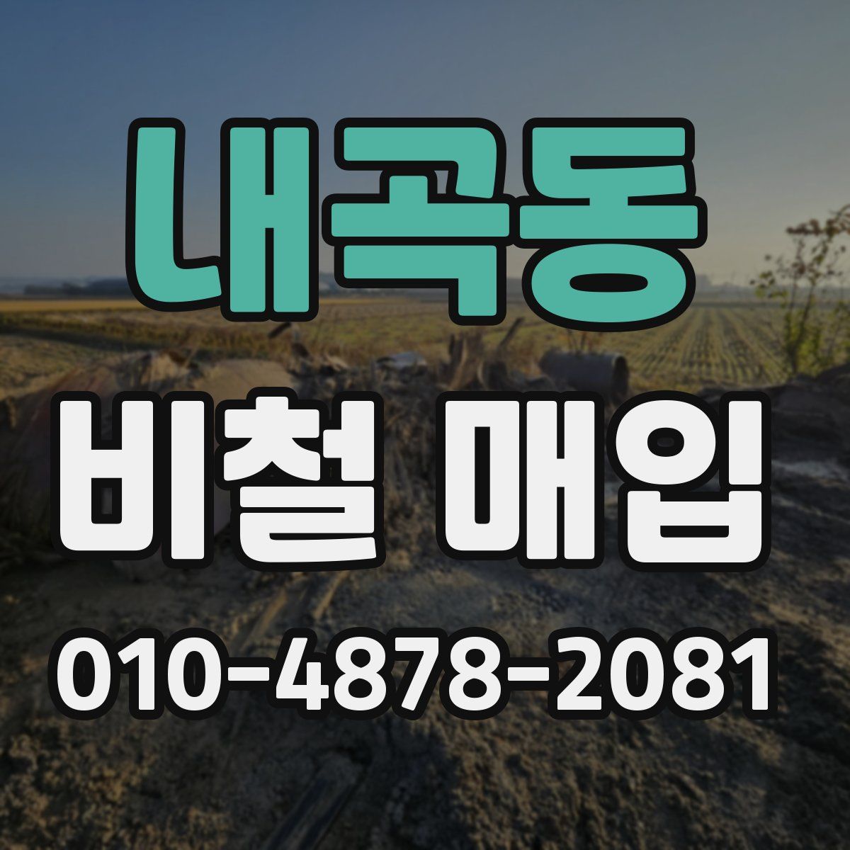 내곡동 비철 매입