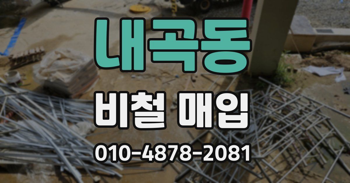 내곡동 비철 매입