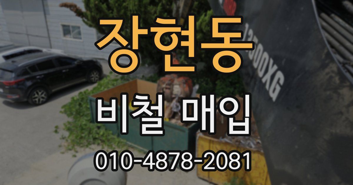장현동 비철 매입
