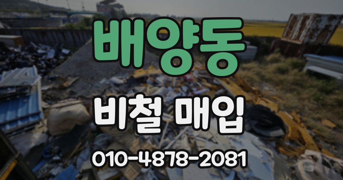 배양동 비철 매입