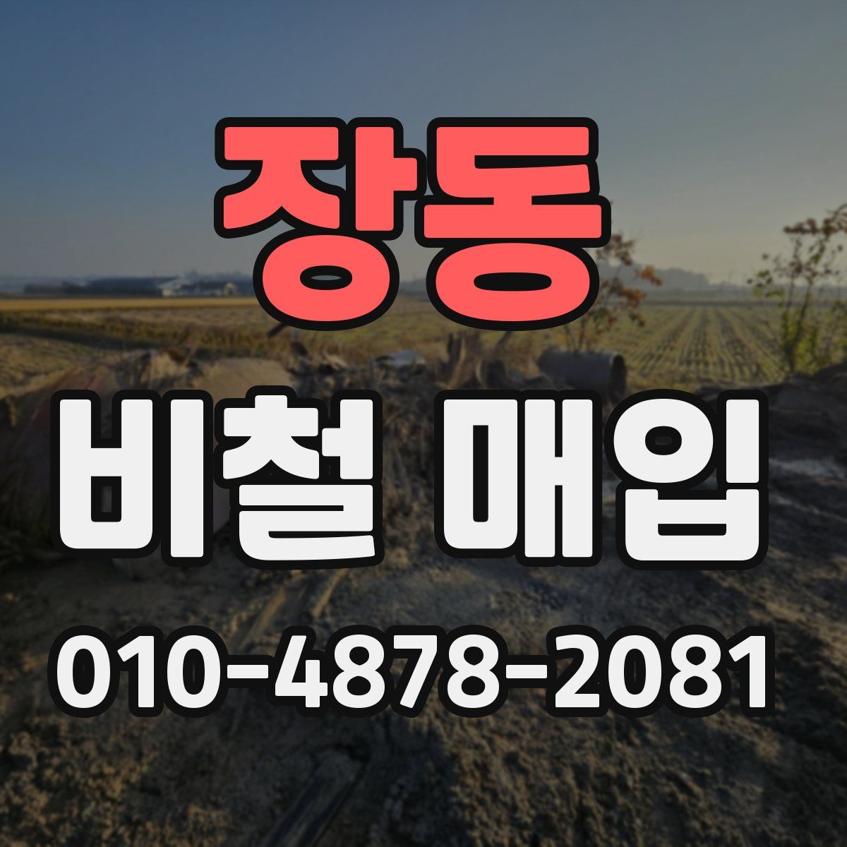 장동 비철 매입